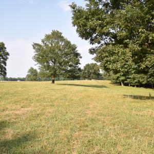 Photo #17 of SOLD property in Off Pope Station Rd, Capron, VA 70.0 acres