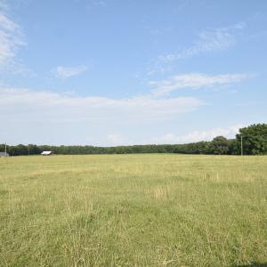 Photo #7 of SOLD property in Off Pope Station Rd, Capron, VA 70.0 acres