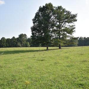 Photo #10 of SOLD property in Off Pope Station Rd, Capron, VA 70.0 acres