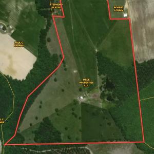Photo #18 of SOLD property in Off Pope Station Rd, Capron, VA 70.0 acres