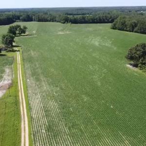 Photo #2 of SOLD property in Off SR 1423 RedHill Church Rd, Whitakers, NC 101.0 acres