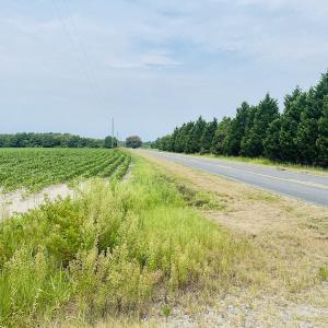Photo #3 of SOLD property in Off SR 1423 RedHill Church Rd, Whitakers, NC 101.0 acres