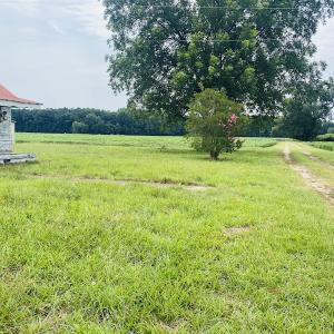 Photo #7 of SOLD property in Off SR 1423 RedHill Church Rd, Whitakers, NC 101.0 acres
