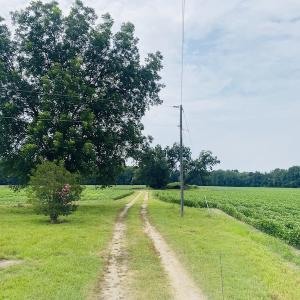 Photo #14 of SOLD property in Off SR 1423 RedHill Church Rd, Whitakers, NC 101.0 acres