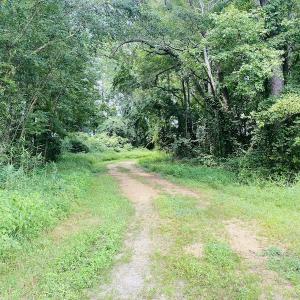 Photo #18 of SOLD property in Off SR 1423 RedHill Church Rd, Whitakers, NC 101.0 acres