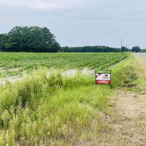 Photo #28 of SOLD property in Off SR 1423 RedHill Church Rd, Whitakers, NC 101.0 acres
