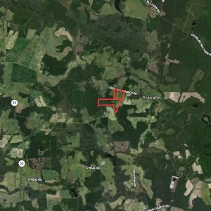 Photo #29 of SOLD property in Off SR 1423 RedHill Church Rd, Whitakers, NC 101.0 acres