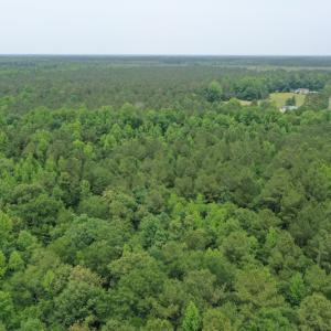 Photo #2 of SOLD property in 878 Pasture Branch Rd, Rose Hill, NC 11.5 acres