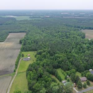 Photo #3 of SOLD property in 878 Pasture Branch Rd, Rose Hill, NC 11.5 acres