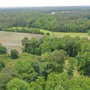 Photo #5 of SOLD property in 878 Pasture Branch Rd, Rose Hill, NC 11.5 acres