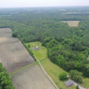 Photo #7 of SOLD property in 878 Pasture Branch Rd, Rose Hill, NC 11.5 acres
