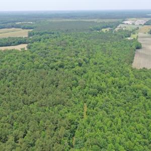 Photo #9 of SOLD property in 878 Pasture Branch Rd, Rose Hill, NC 11.5 acres