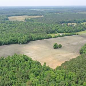 Photo #10 of SOLD property in 878 Pasture Branch Rd, Rose Hill, NC 11.5 acres