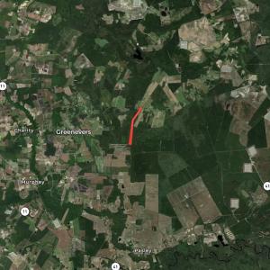Photo #13 of SOLD property in 878 Pasture Branch Rd, Rose Hill, NC 11.5 acres
