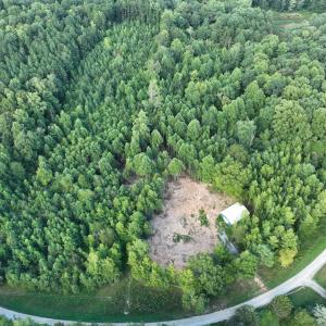 Photo #13 of SOLD property in Off Muscadine Trail, Baskerville, VA 5.0 acres