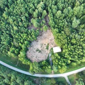 Photo #14 of SOLD property in Off Muscadine Trail, Baskerville, VA 5.0 acres