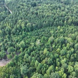 Photo #16 of SOLD property in Off Muscadine Trail, Baskerville, VA 5.0 acres