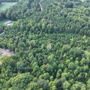 Photo #17 of SOLD property in Off Muscadine Trail, Baskerville, VA 5.0 acres