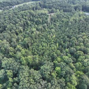 Photo #19 of SOLD property in Off Muscadine Trail, Baskerville, VA 5.0 acres