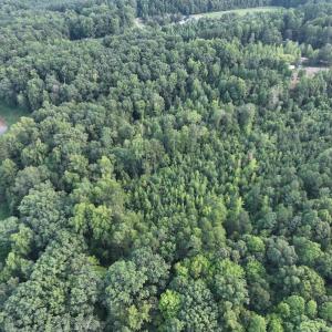 Photo #20 of SOLD property in Off Muscadine Trail, Baskerville, VA 5.0 acres