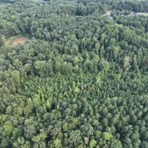 Photo #21 of SOLD property in Off Muscadine Trail, Baskerville, VA 5.0 acres