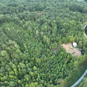 Photo #22 of SOLD property in Off Muscadine Trail, Baskerville, VA 5.0 acres