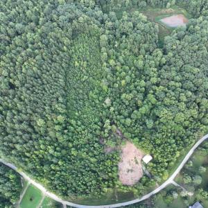 Photo #23 of SOLD property in Off Muscadine Trail, Baskerville, VA 5.0 acres