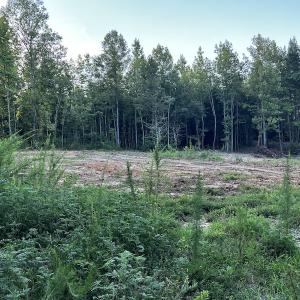 Photo #7 of SOLD property in Off Muscadine Trail, Baskerville, VA 5.0 acres