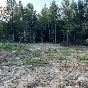 Photo #8 of SOLD property in Off Muscadine Trail, Baskerville, VA 5.0 acres
