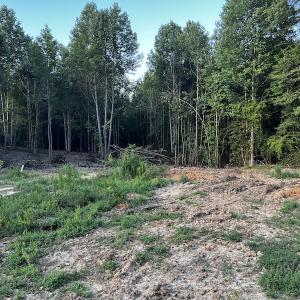 Photo #9 of SOLD property in Off Muscadine Trail, Baskerville, VA 5.0 acres