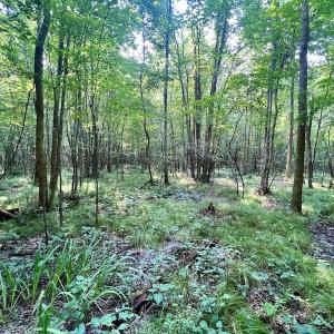 Photo #12 of SOLD property in Off Dixon Rd, Chocowinity, NC 8.3 acres