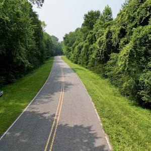 Photo #14 of SOLD property in Off Dixon Rd, Chocowinity, NC 8.3 acres