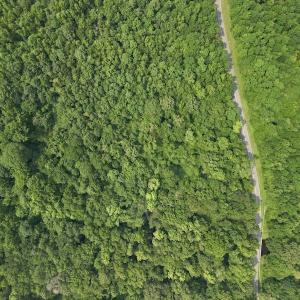 Photo #15 of SOLD property in Off Dixon Rd, Chocowinity, NC 8.3 acres