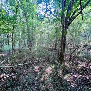 Photo #16 of SOLD property in Off Dixon Rd, Chocowinity, NC 8.3 acres