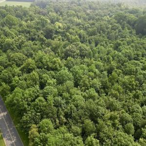 Photo #3 of SOLD property in Off Dixon Rd, Chocowinity, NC 8.3 acres
