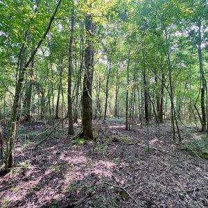 Photo #21 of SOLD property in Off Dixon Rd, Chocowinity, NC 8.3 acres