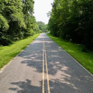 Photo #22 of SOLD property in Off Dixon Rd, Chocowinity, NC 8.3 acres