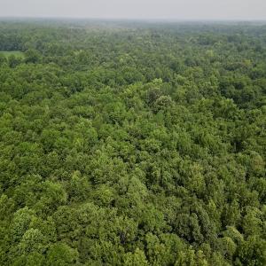 Photo #4 of SOLD property in Off Dixon Rd, Chocowinity, NC 8.3 acres