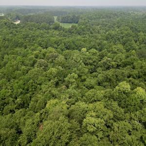 Photo #5 of SOLD property in Off Dixon Rd, Chocowinity, NC 8.3 acres