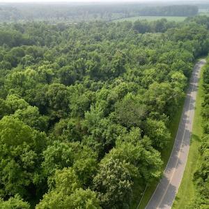 Photo #6 of SOLD property in Off Dixon Rd, Chocowinity, NC 8.3 acres