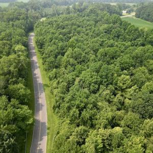 Photo #7 of SOLD property in Off Dixon Rd, Chocowinity, NC 8.3 acres