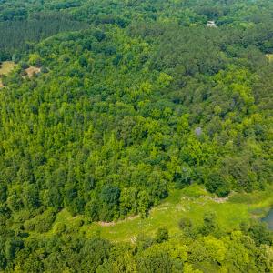 Photo #4 of SOLD property in Off Waterside Drive, Yanceyville, NC 11.5 acres