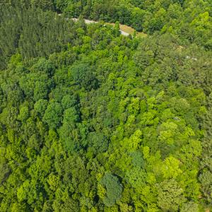 Photo #16 of SOLD property in Off Waterside Drive, Yanceyville, NC 11.5 acres
