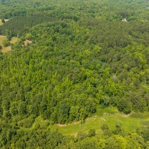 Photo #21 of SOLD property in Off Waterside Drive, Yanceyville, NC 11.5 acres