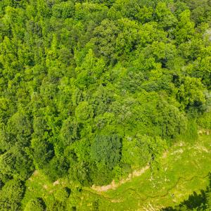 Photo #27 of SOLD property in Off Waterside Drive, Yanceyville, NC 11.5 acres