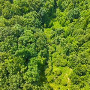 Photo #31 of SOLD property in Off Waterside Drive, Yanceyville, NC 11.5 acres