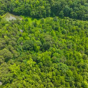 Photo #32 of SOLD property in Off Waterside Drive, Yanceyville, NC 11.5 acres