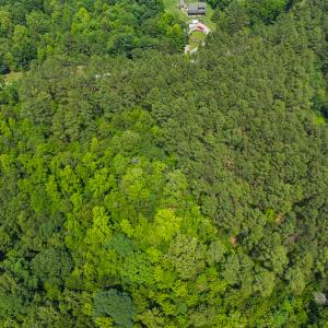 Photo #34 of SOLD property in Off Waterside Drive, Yanceyville, NC 11.5 acres