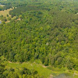 Photo #35 of SOLD property in Off Waterside Drive, Yanceyville, NC 11.5 acres