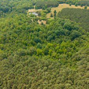 Photo #36 of SOLD property in Off Waterside Drive, Yanceyville, NC 11.5 acres